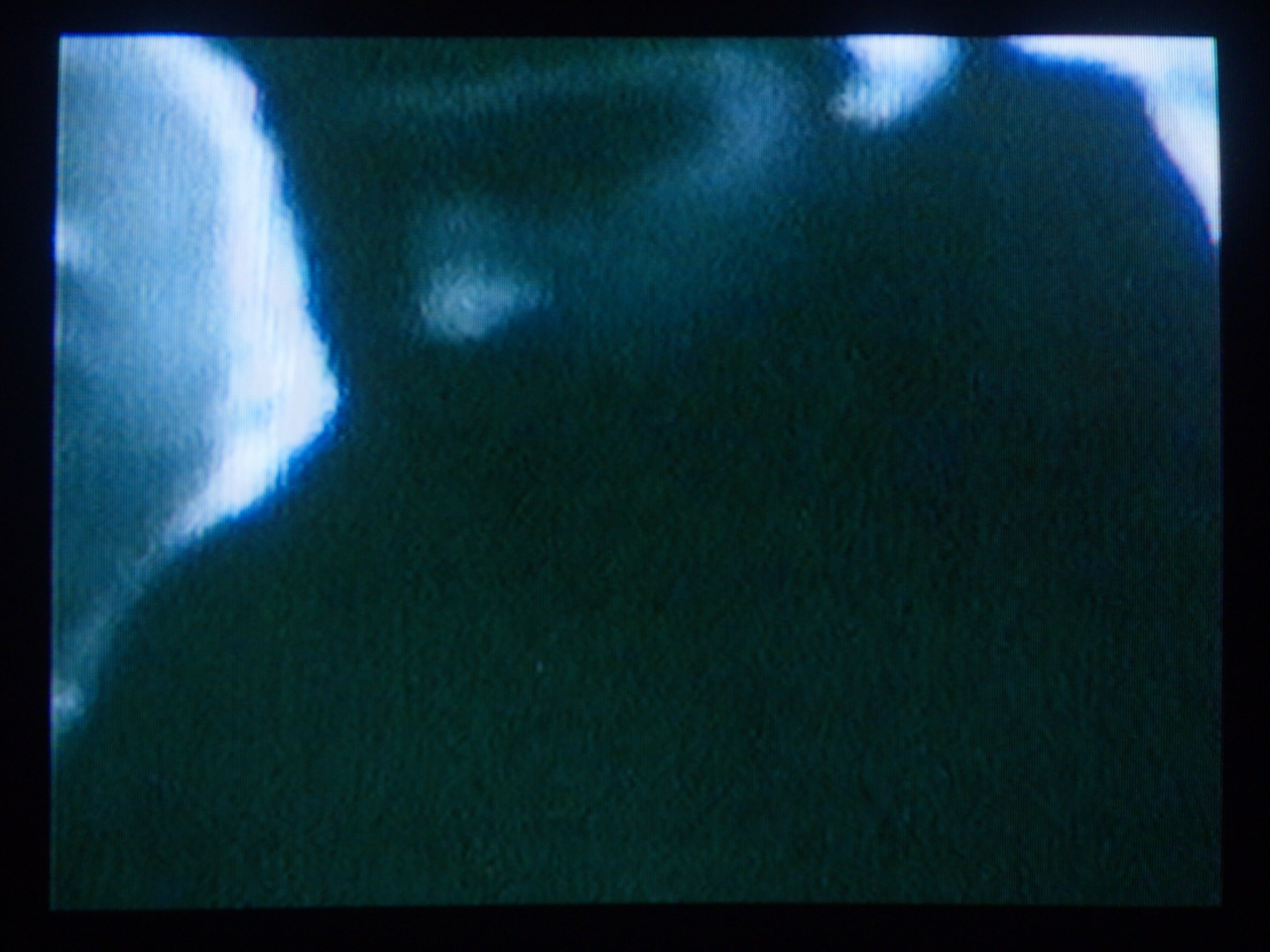 SHAI WOOD - BASED 20