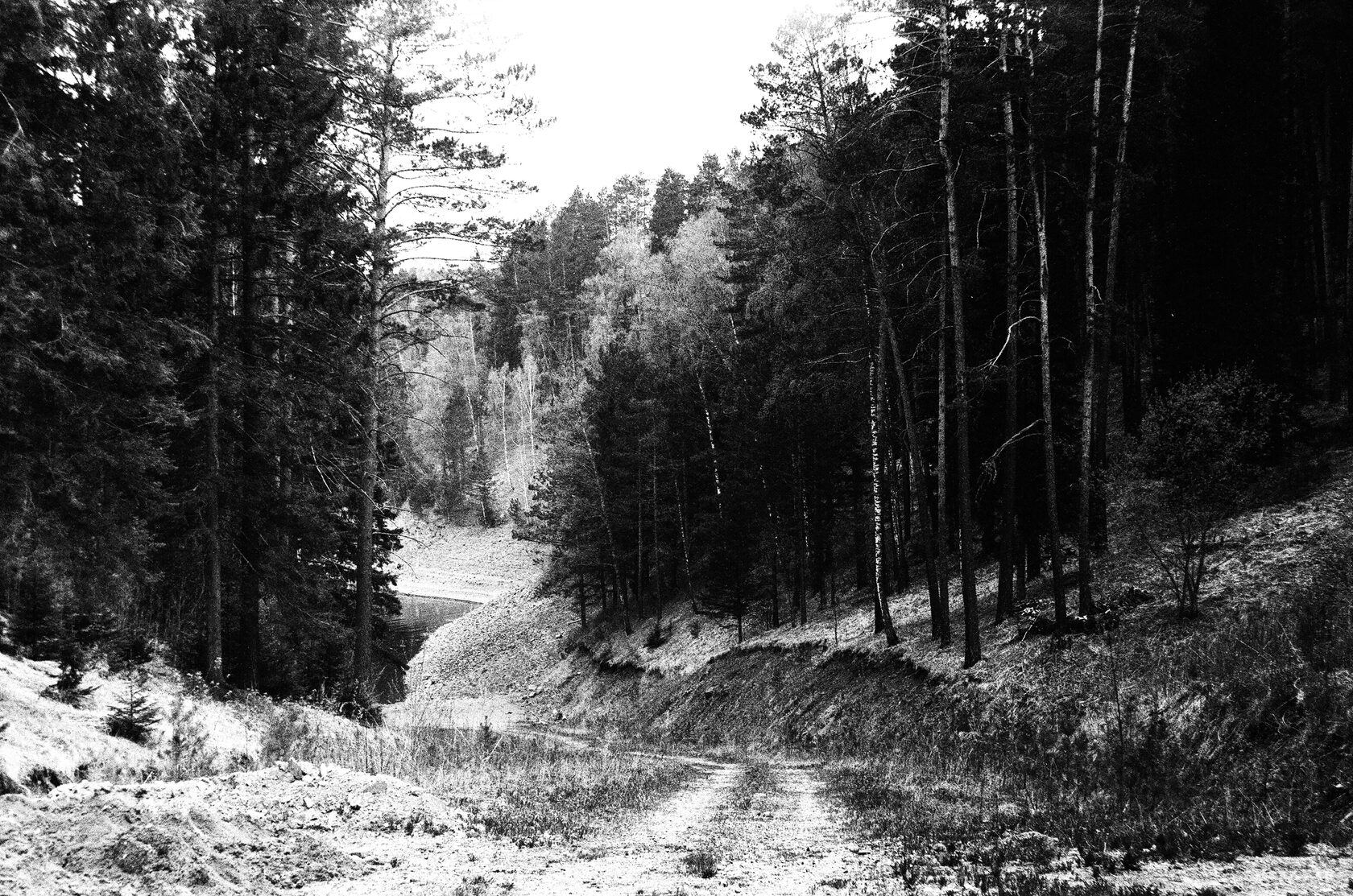 Фото на плёнку